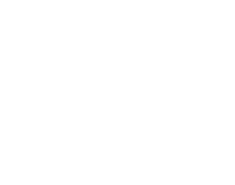 LiftingAnalyzer tiger logo